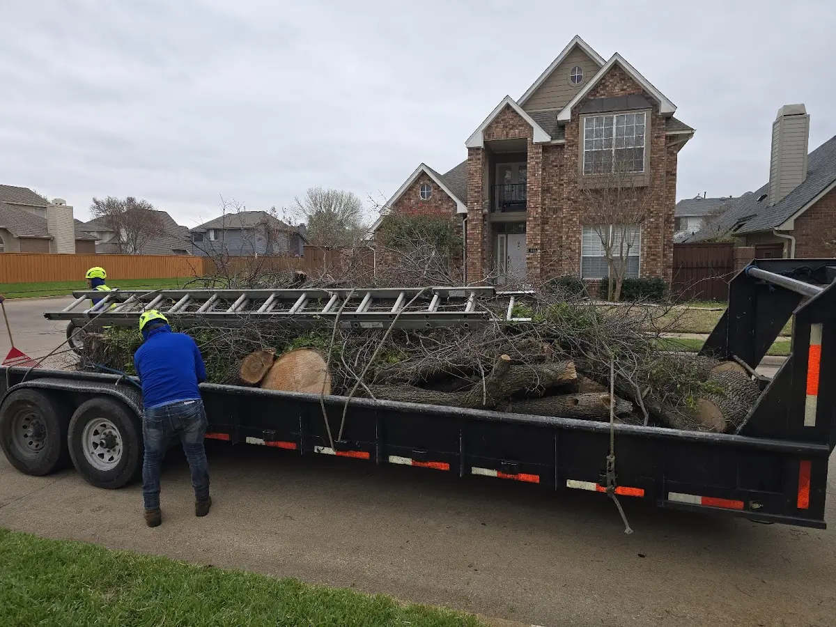Expert Tree Pest Control with proper safety equipment in Parshall